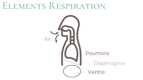 Elements respiration