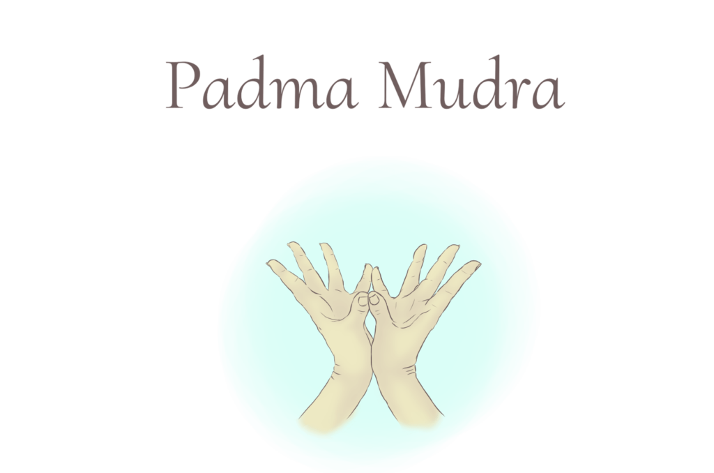 Tell Me Yoga - Padma Mudra