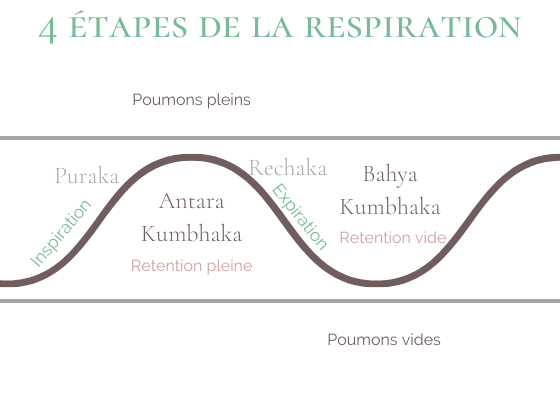 4 etapes respiration