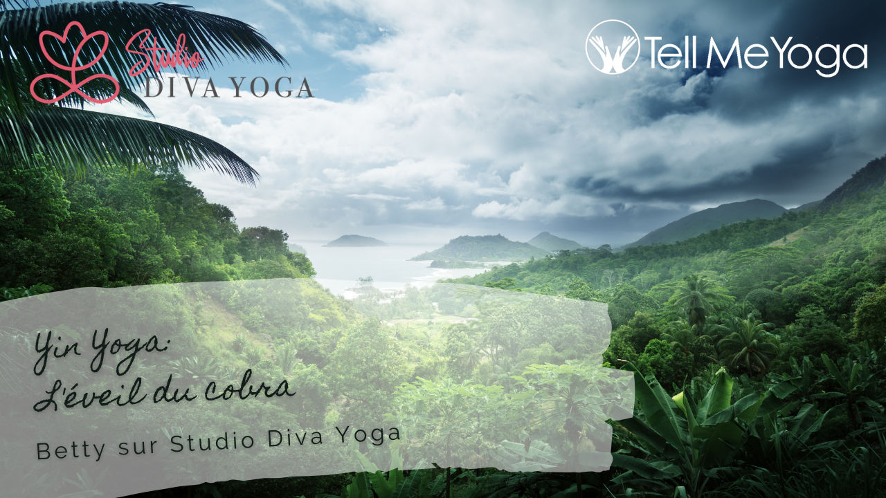 Studio cours - Yin Yoga _ L'éveil du cobra