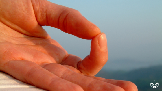 Gestion du temps ? 75 Tell Me Yoga - mudra