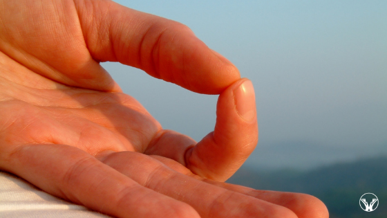 Tell Me Yoga - mudra